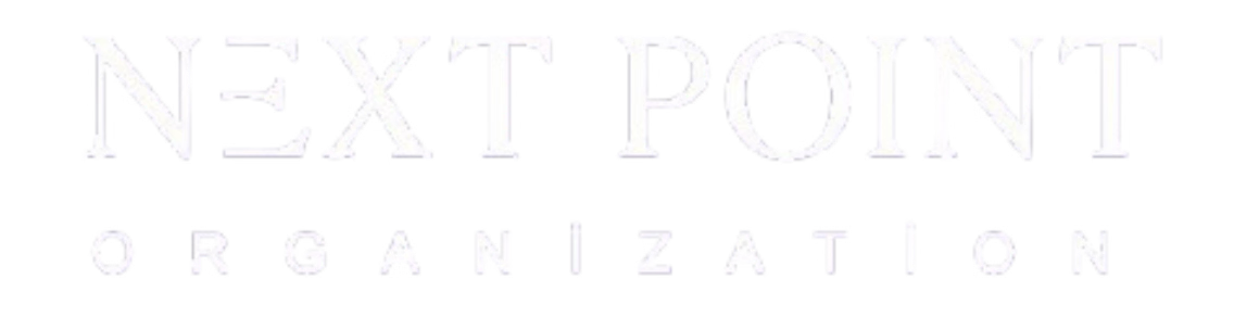 Next Point Logo